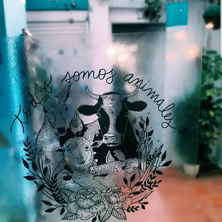 La Casa Del Colibri Youth (adults Only) Hostel Valencia