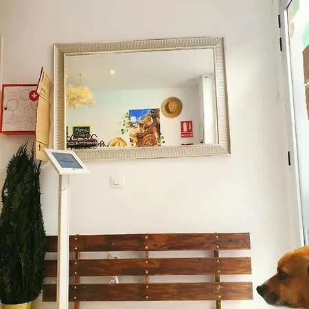 La Casa Del Colibri Youth (adults Only) Hostel *